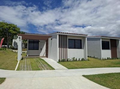 137484 - San carlos - casas