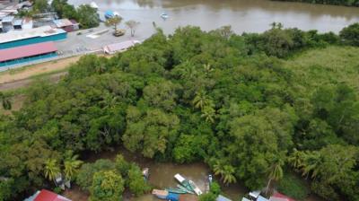 137485 - Pedregal - lotes