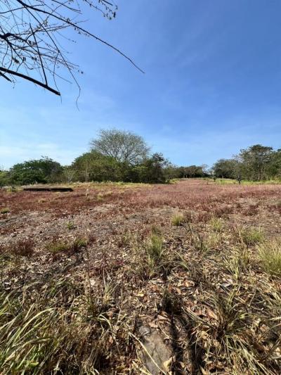 137505 - San carlos - propiedades