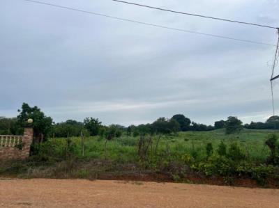 137587 - Los Santos - lotes