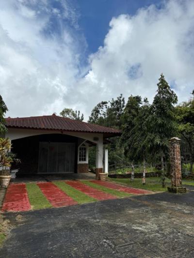 137588 - Cerro azul - casas