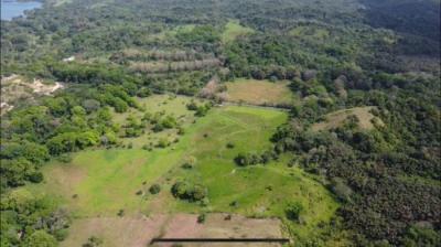 137630 - Colón - lotes