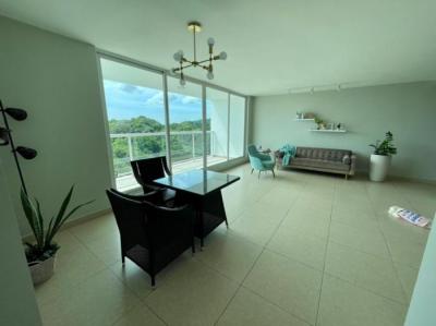 137785 - Clayton - apartamentos - clayton park