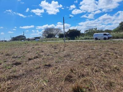 137796 - Aguadulce - lotes