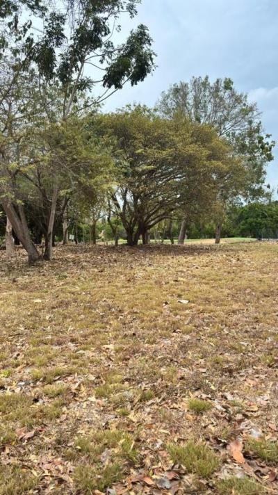 137894 - Coronado - lotes