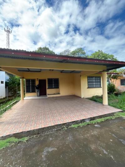 137961 - David - casas