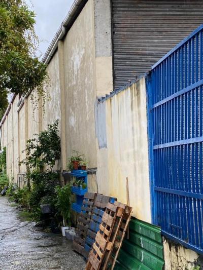 137962 - Juan diaz - galeras