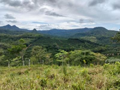 137971 - Penonomé - lotes