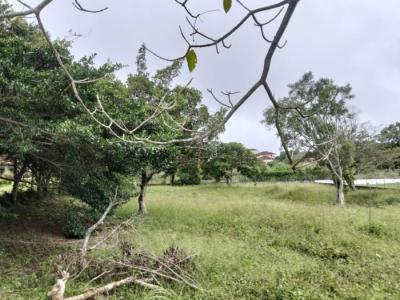 137982 - Boquete - lotes