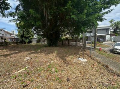 137987 - El carmen - lotes