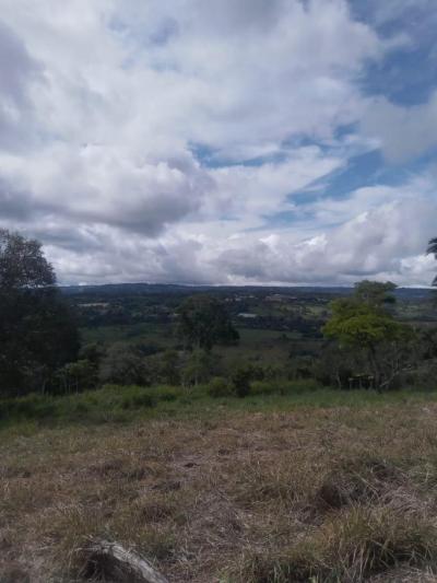 138084 - Chiriquí - lotes