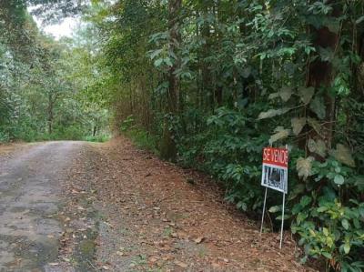 138087 - Cerro azul - lots