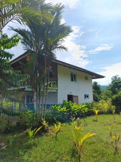 138097 - Bocas del Toro - houses