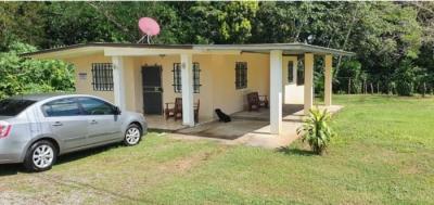 138120 - David - houses