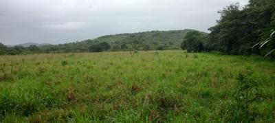 138176 - Veraguas - lotes