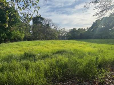 138177 - Veraguas - lots