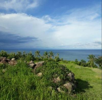 138191 - Puerto armuelles - lotes