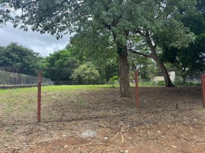 138192 - David - lotes