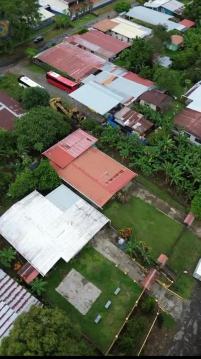 138197 - David - lotes