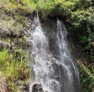 138205 - Chiriquí - lotes