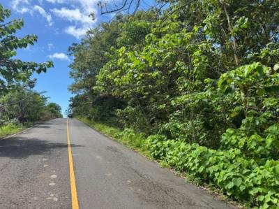 138283 - Veraguas - lotes