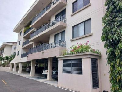 138342 - Panama pacifico - apartamentos - river valley