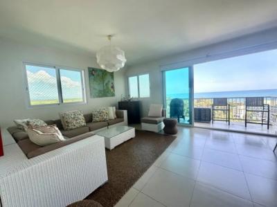 138374 - Bijao - properties