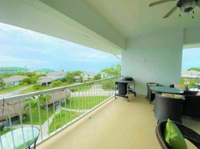 138376 - Bijao - properties