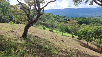 138420 - Santa Fe - lots