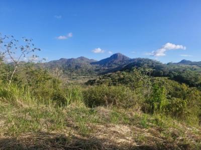 138473 - Penonomé - lots