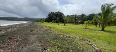 138484 - Portobelo - lots