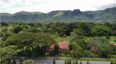 138497 - El valle de anton - casas