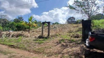 138512 - Chilibre - lotes