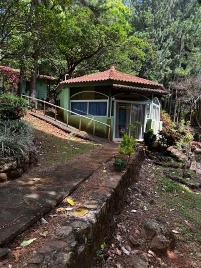 138526 - Sora - lots