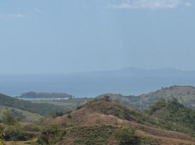 138549 - Veraguas - lots