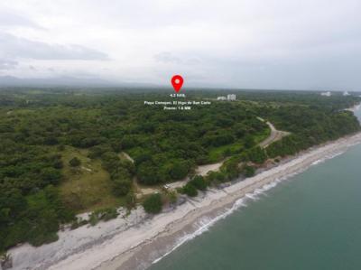 138550 - San carlos - lots