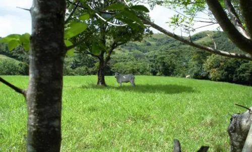 Granja de 72 Hect