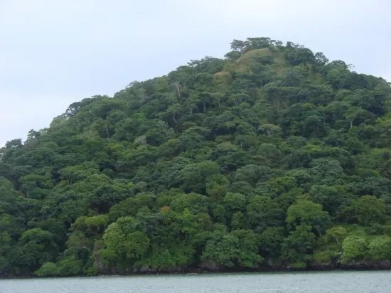 Beautiful and pristine beachfront property near Capira