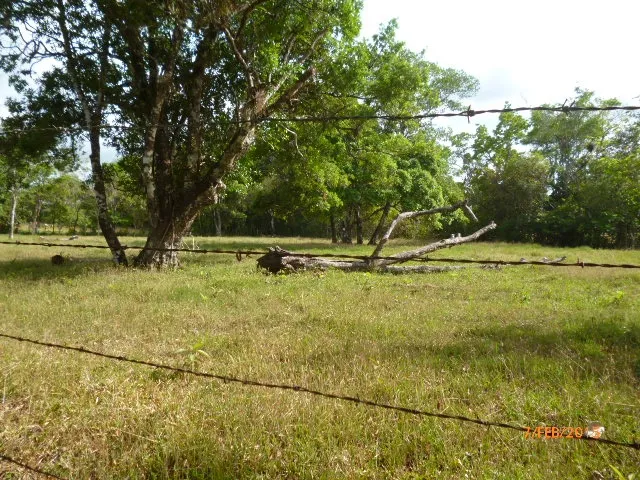 Granja peque