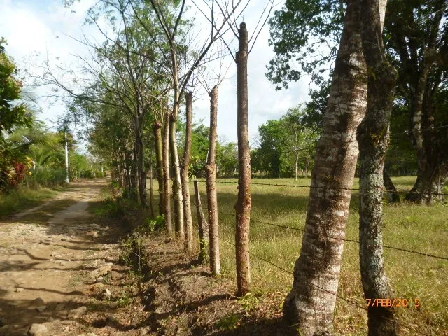 Granja peque