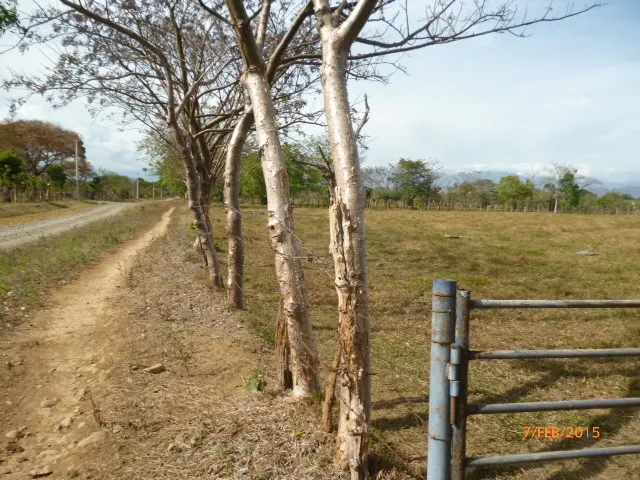Granja peque