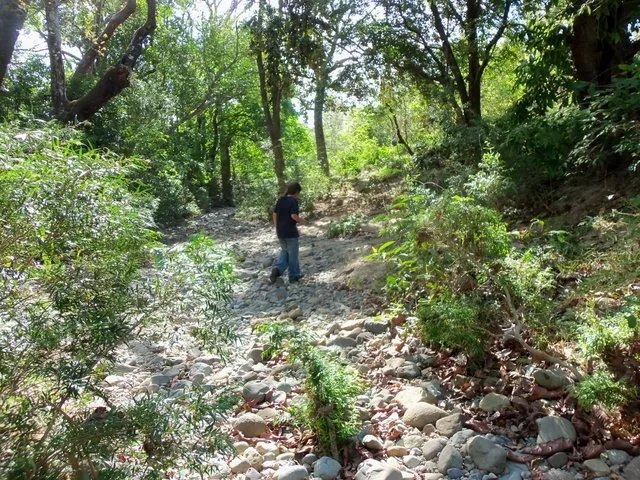 3 hectares riverfront near Santa Fe