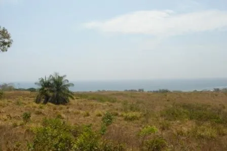 Frente de Playa en Pedasi con 42 hectareas ideal para Desarrollo