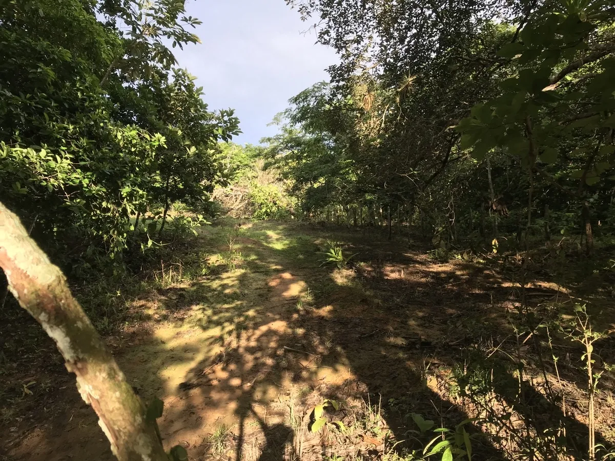 2 hectares en San Félix, Chiriqui