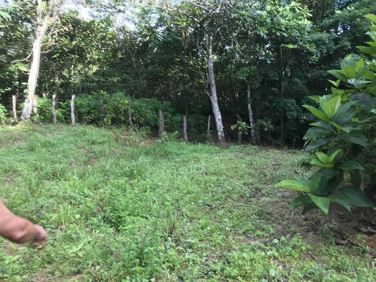 2 hectares en San Félix, Chiriqui
