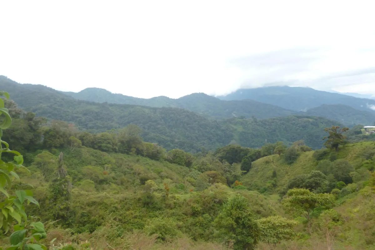 CHIRIQUI, BOQUETE, PROPERTY NEAR THE VOLCAN BARU NATIONAL PARK