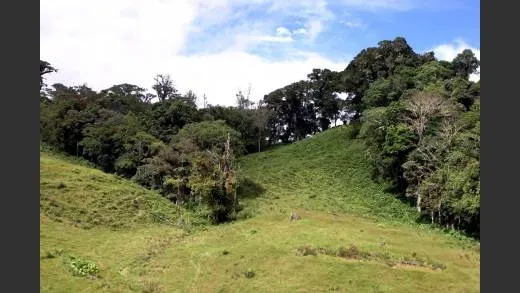 CHIRIQUI, BOQUETE, PROPIEDAD CERCA DEL PARQUE NACIONAL VOLCAN BARU