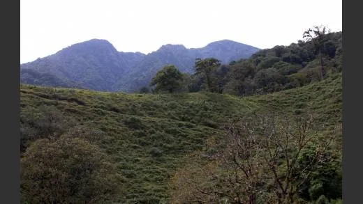CHIRIQUI, BOQUETE, PROPIEDAD CERCA DEL PARQUE NACIONAL VOLCAN BARU