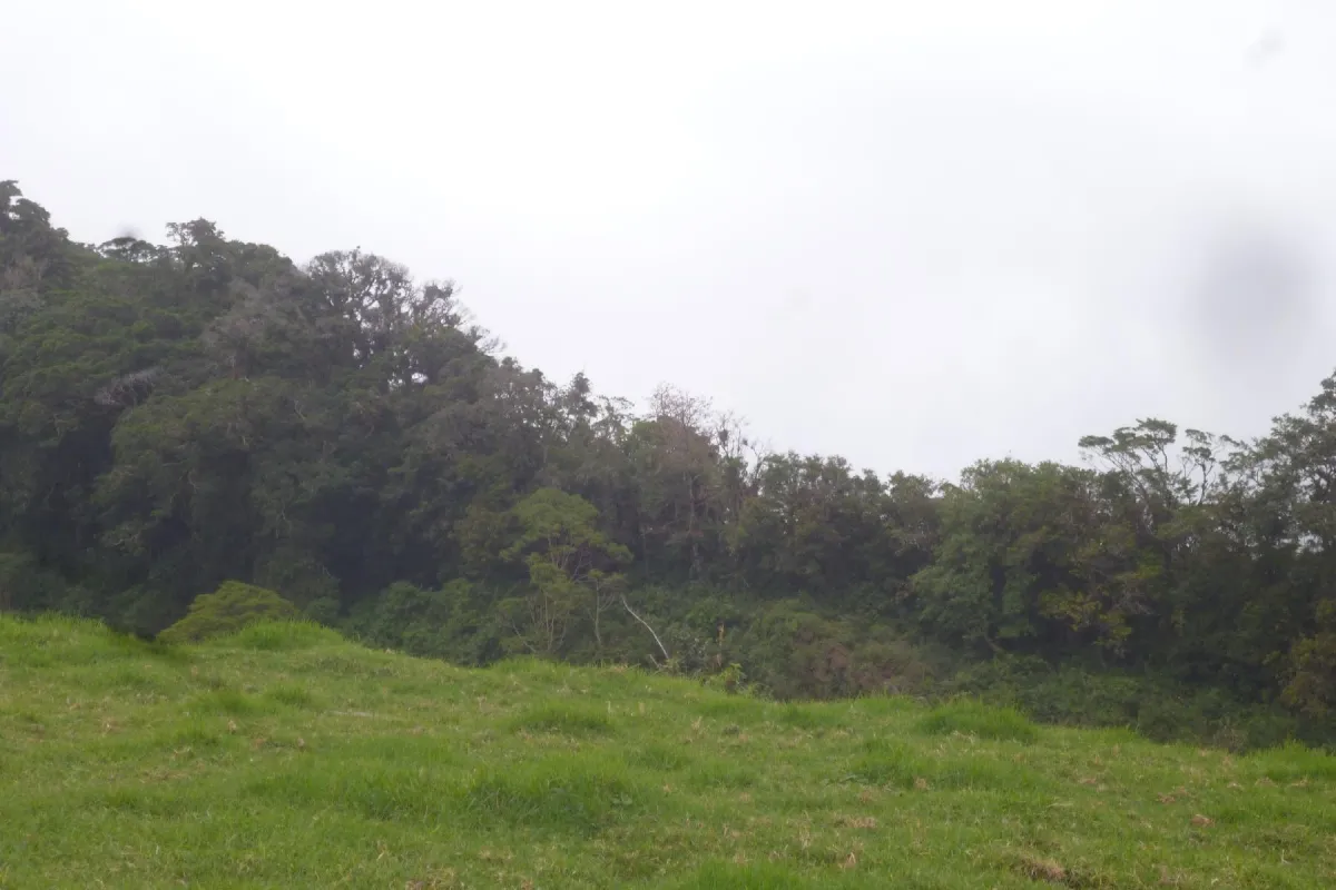 CHIRIQUI, BOQUETE, PROPIEDAD CERCA DEL PARQUE NACIONAL VOLCAN BARU