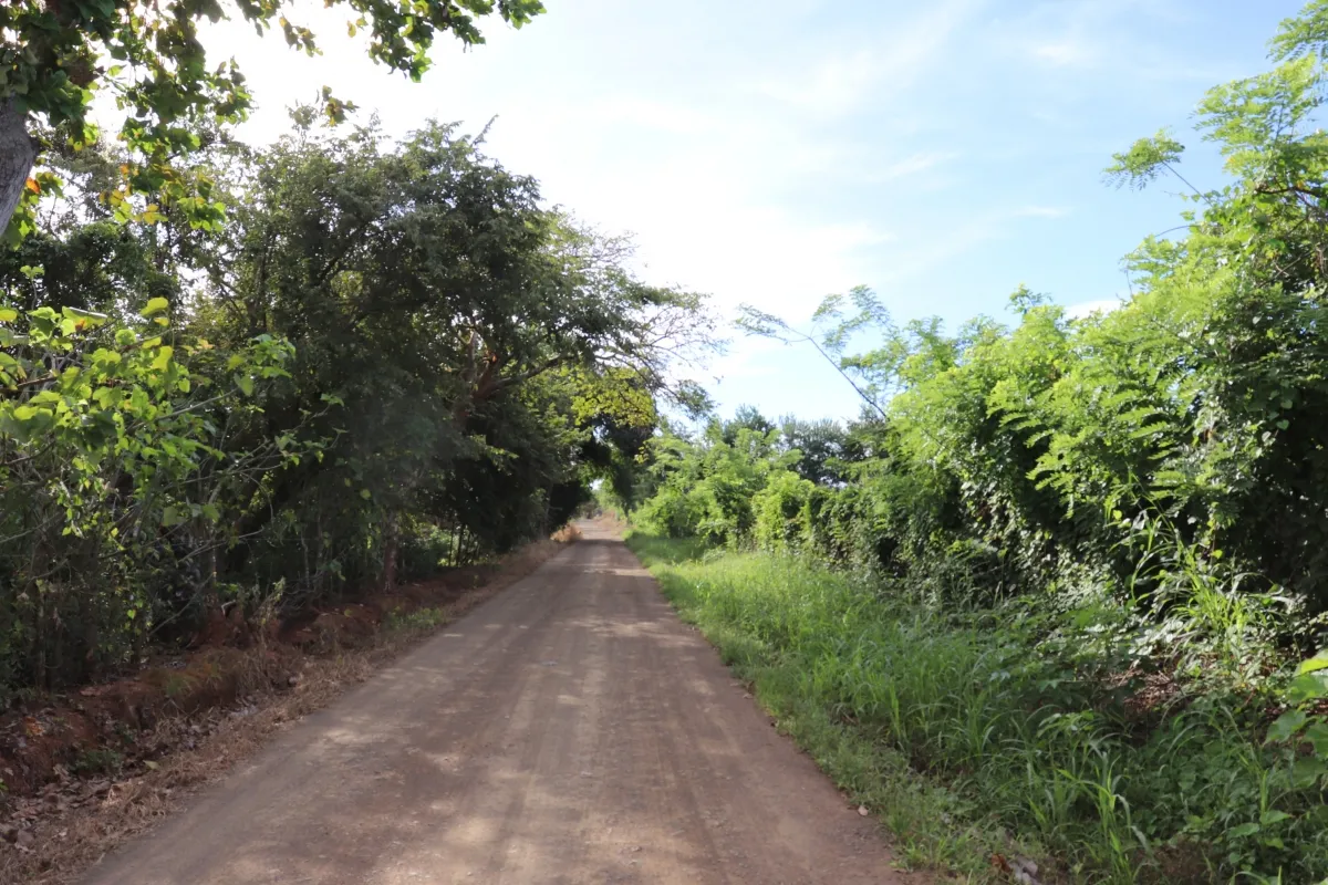 Terreno/Granja en Venta en Las Tablas